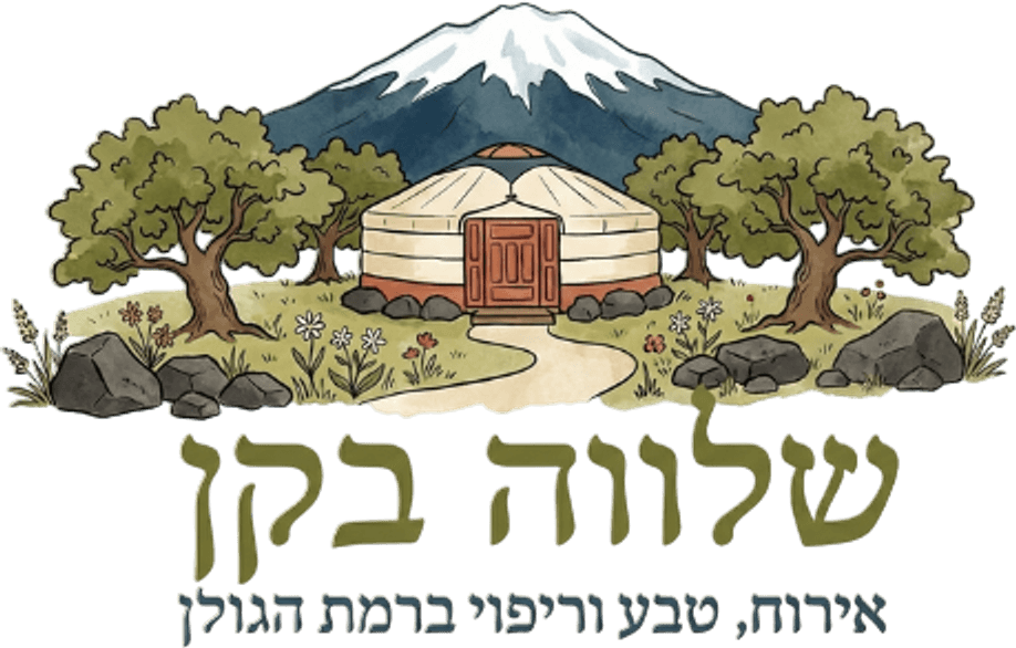 שלווה בקן