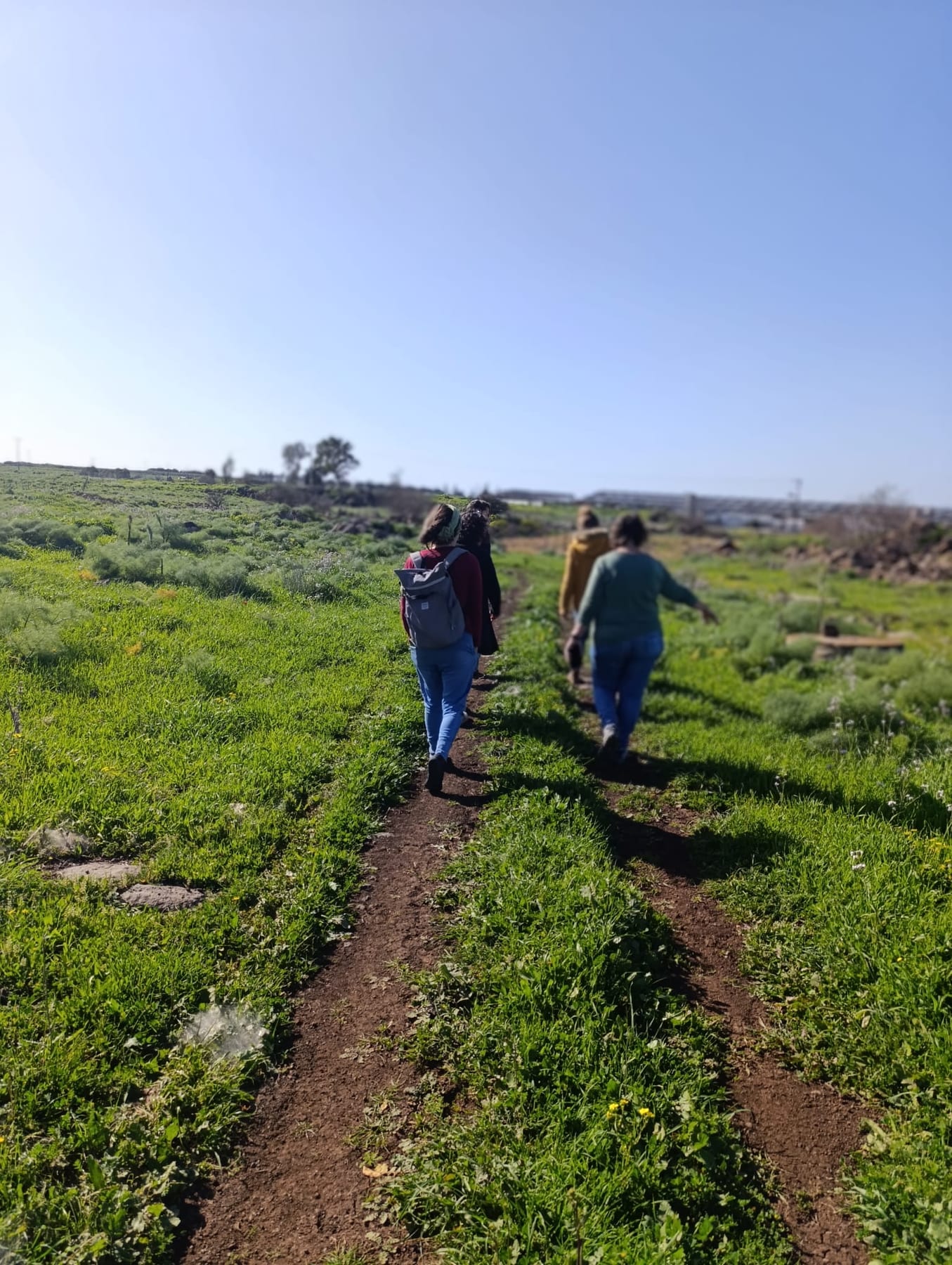 הליכה בשביל בגולן